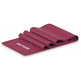 სავარჯიშო ლენტი KETTLER FLEXIBAND 15X240სმ მაგარი